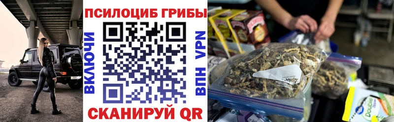 Псилоцибиновые грибы MAGIC MUSHROOMS  Купить где  Котово 
